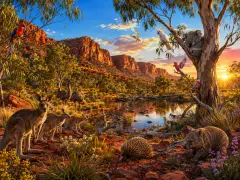 Australian Outback Wildlife